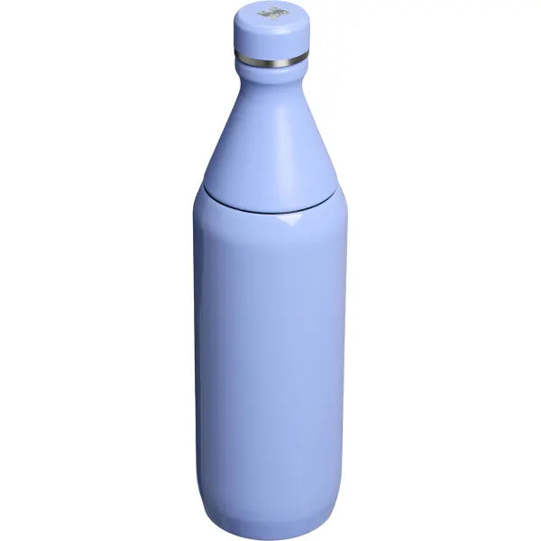 STAN 20OZ ALL DAY SLIM BOTTLE HYDRANGEA GLOSS EU