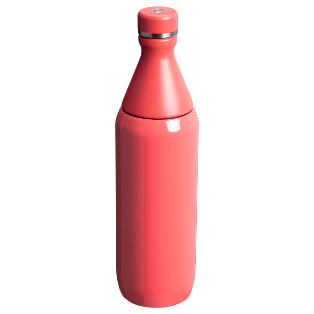 STAN 20OZ ALL DAY SLIM BOTTLE HOT CORAL GLOSS EU