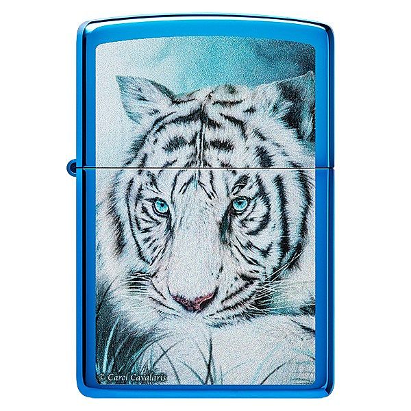 48951 20446 CAROL CAVALARIS