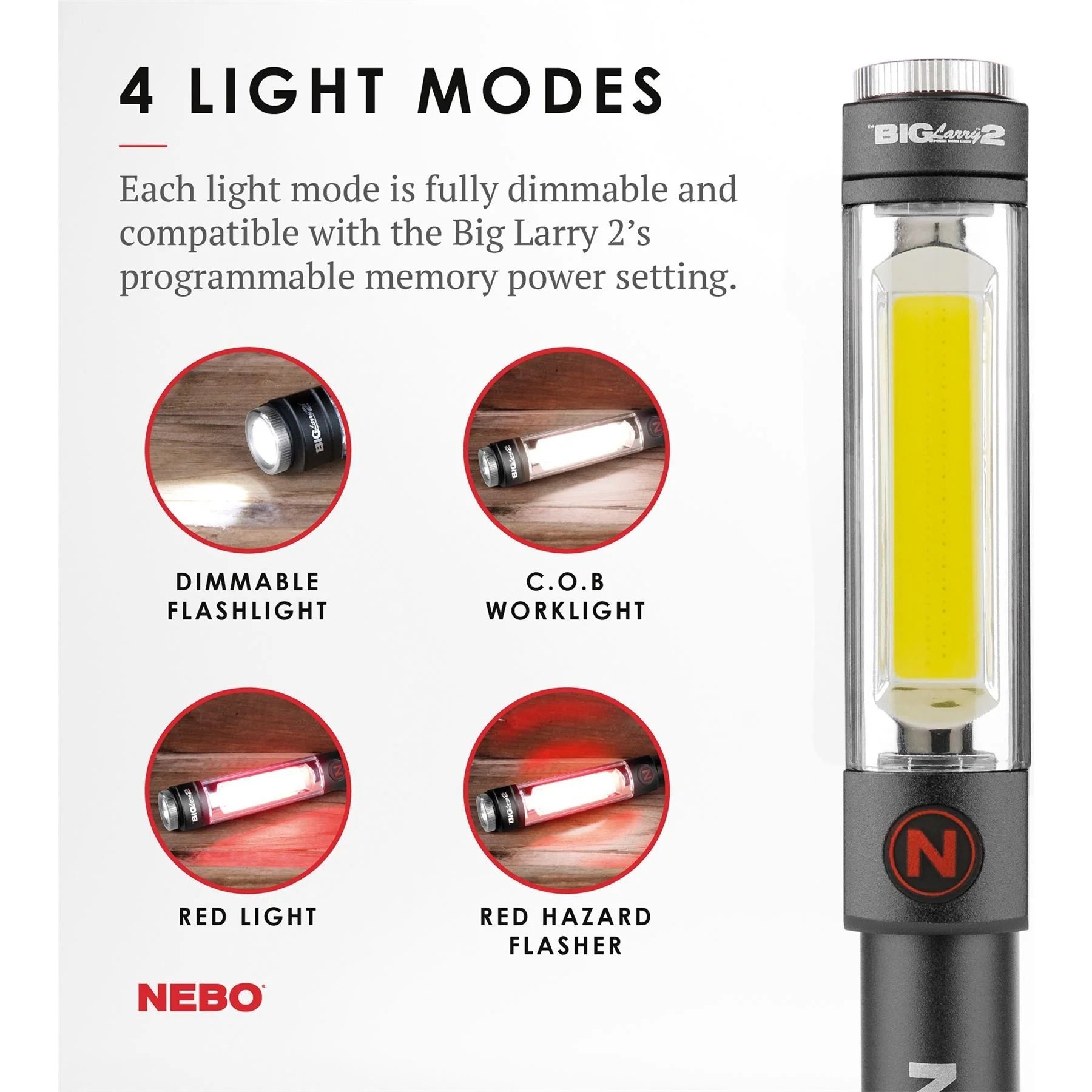 NE66-40 BIG LARRY PRO RC