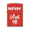 233 CI412257 NEVER GIVE UP DESIGN